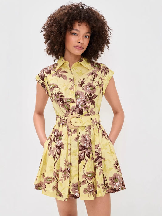 printed sleeveless A-line pleated mini dress - yellow