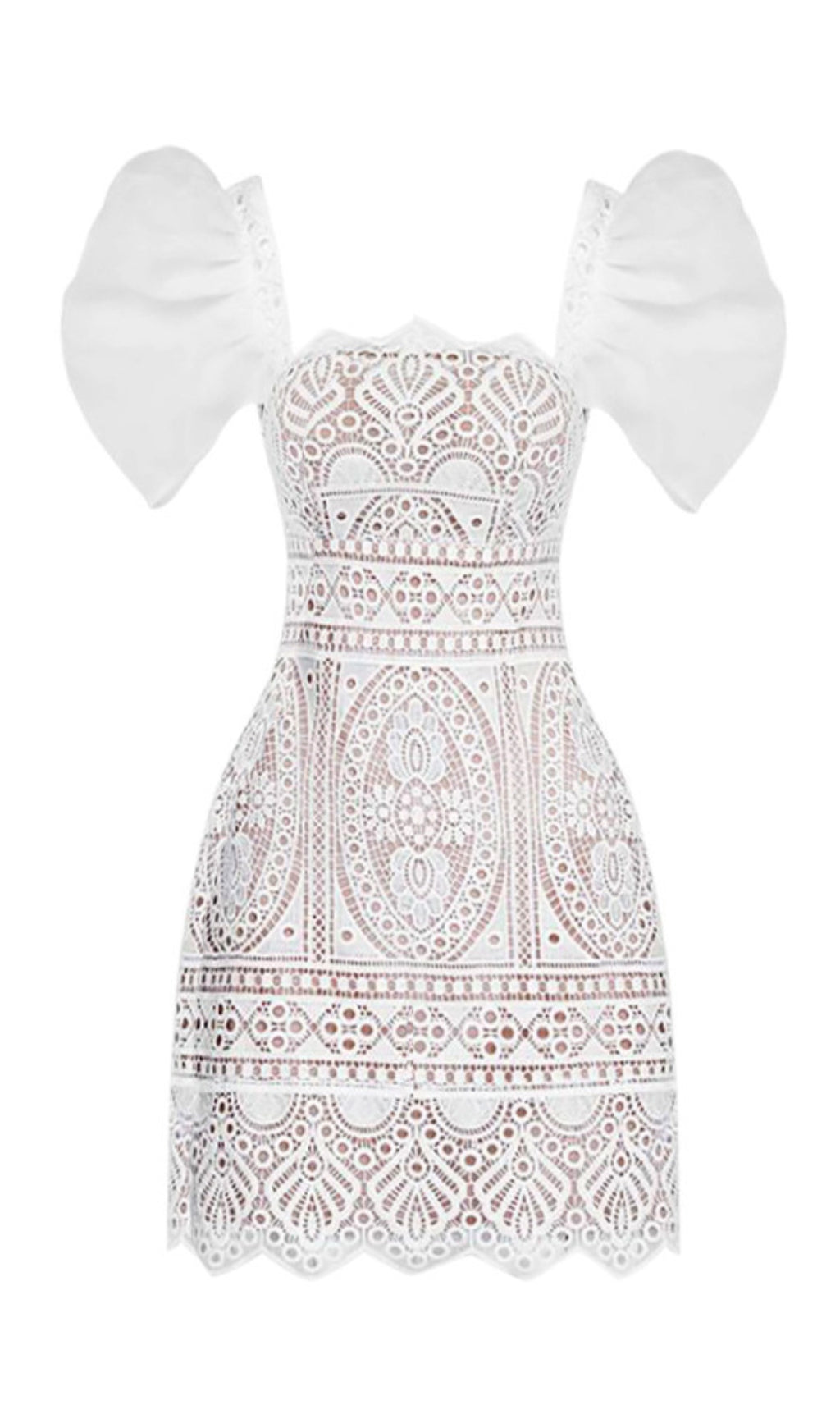 RETRO PUFF SLEEVE LACE MINI DRESS