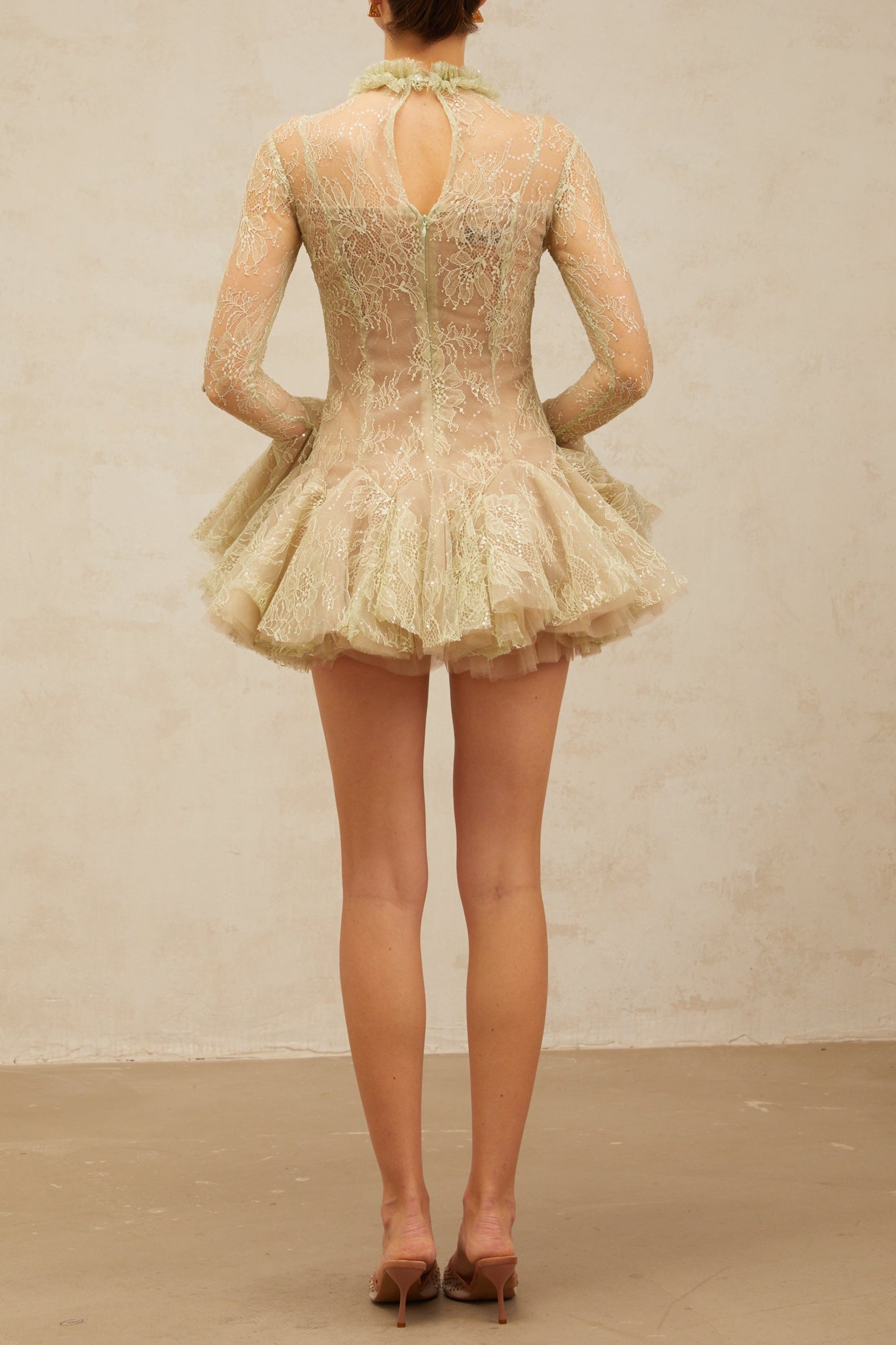 Embroidered Flared Mini Dress