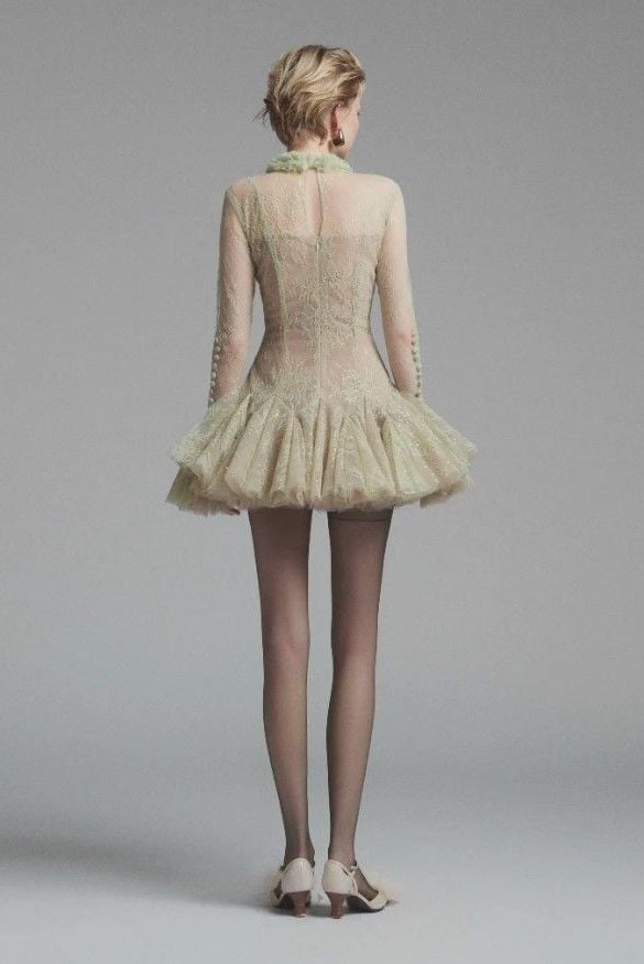 Embroidered Flared Mini Dress