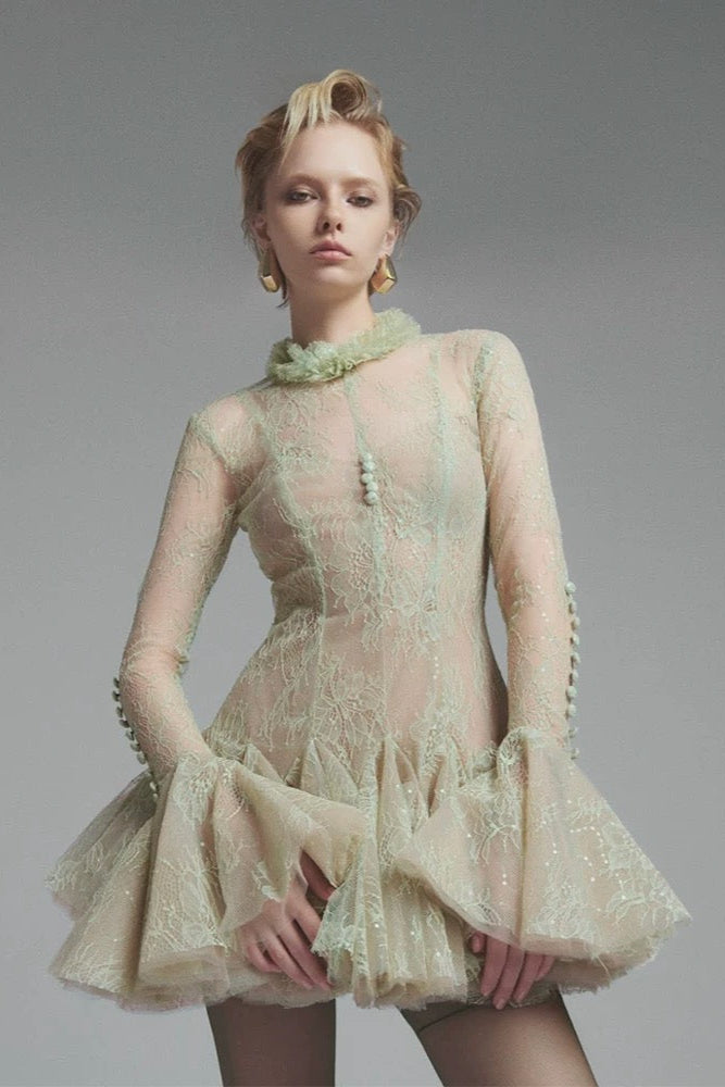 Embroidered Flared Mini Dress
