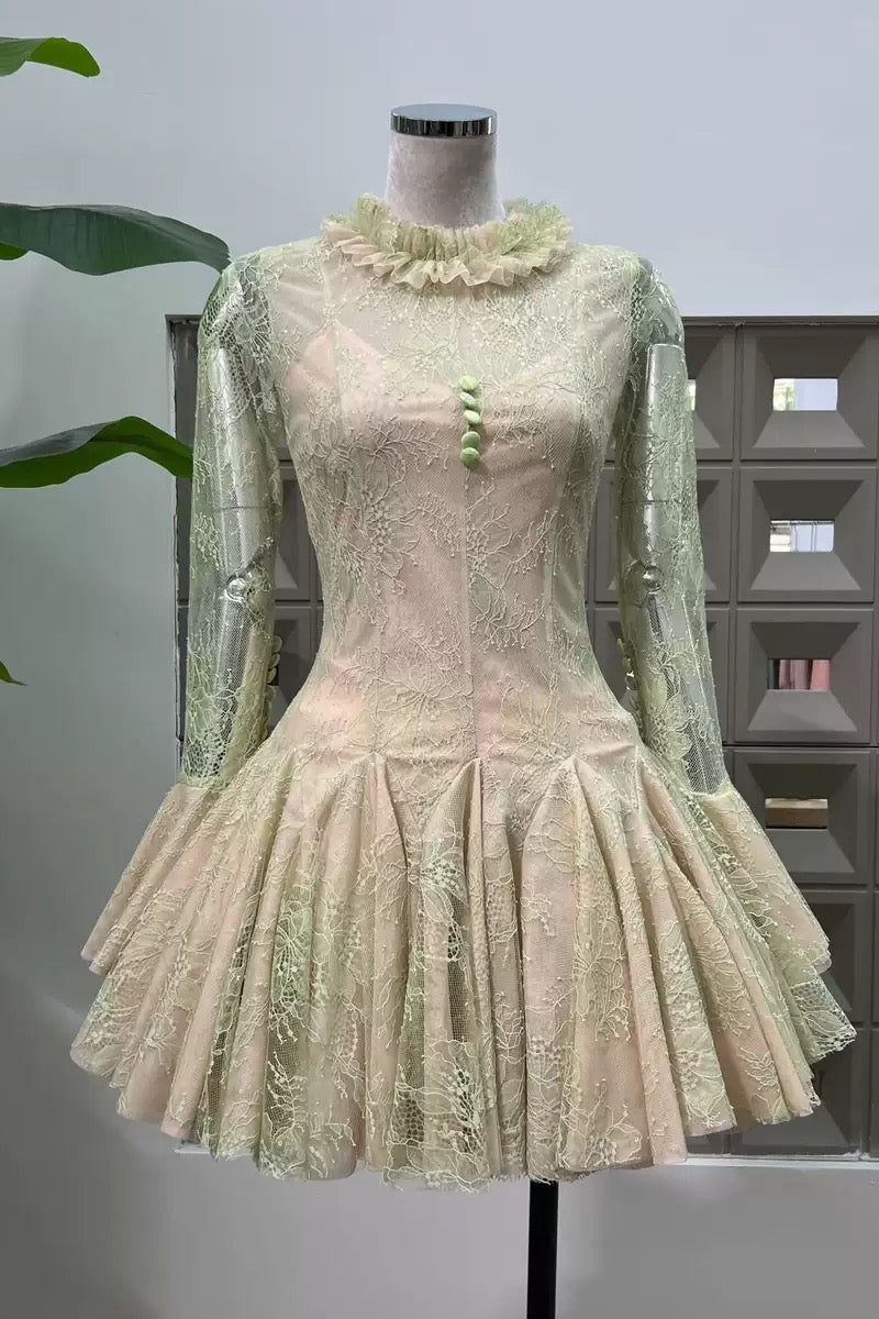 Embroidered Flared Mini Dress
