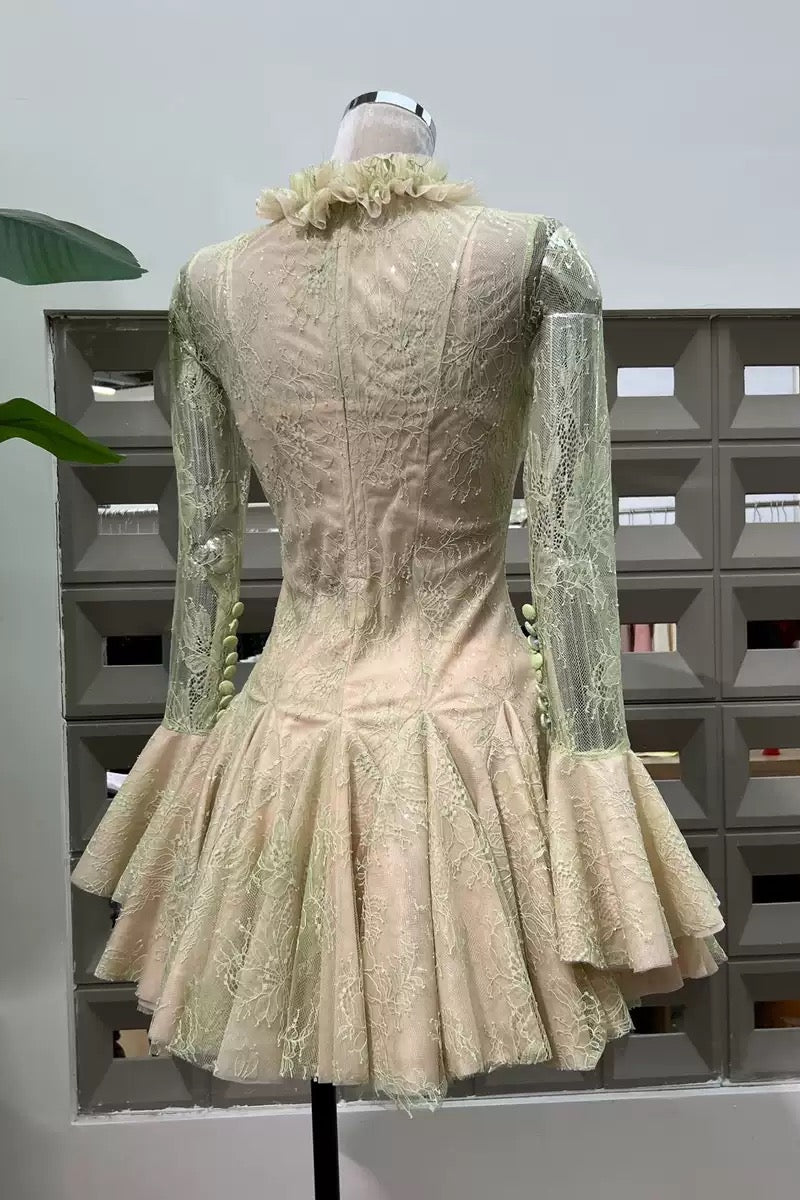 Embroidered Flared Mini Dress