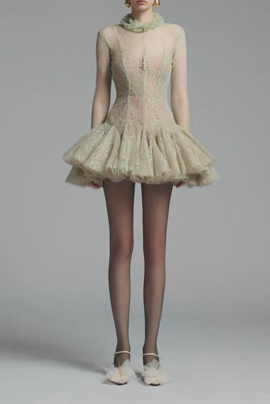 Embroidered Flared Mini Dress
