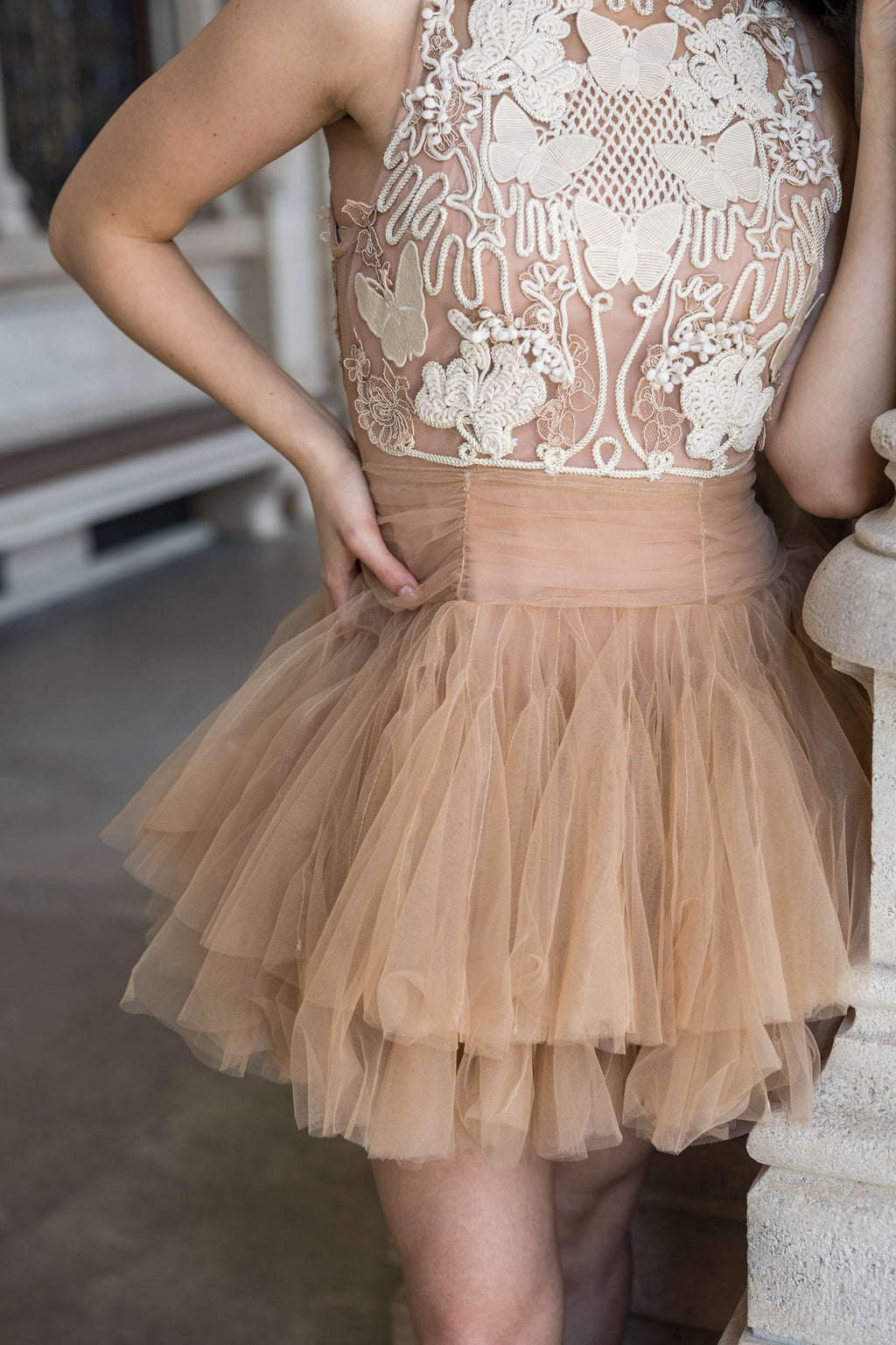 Ballerina |  Beige Tulle Mini Dress with 3D Applique