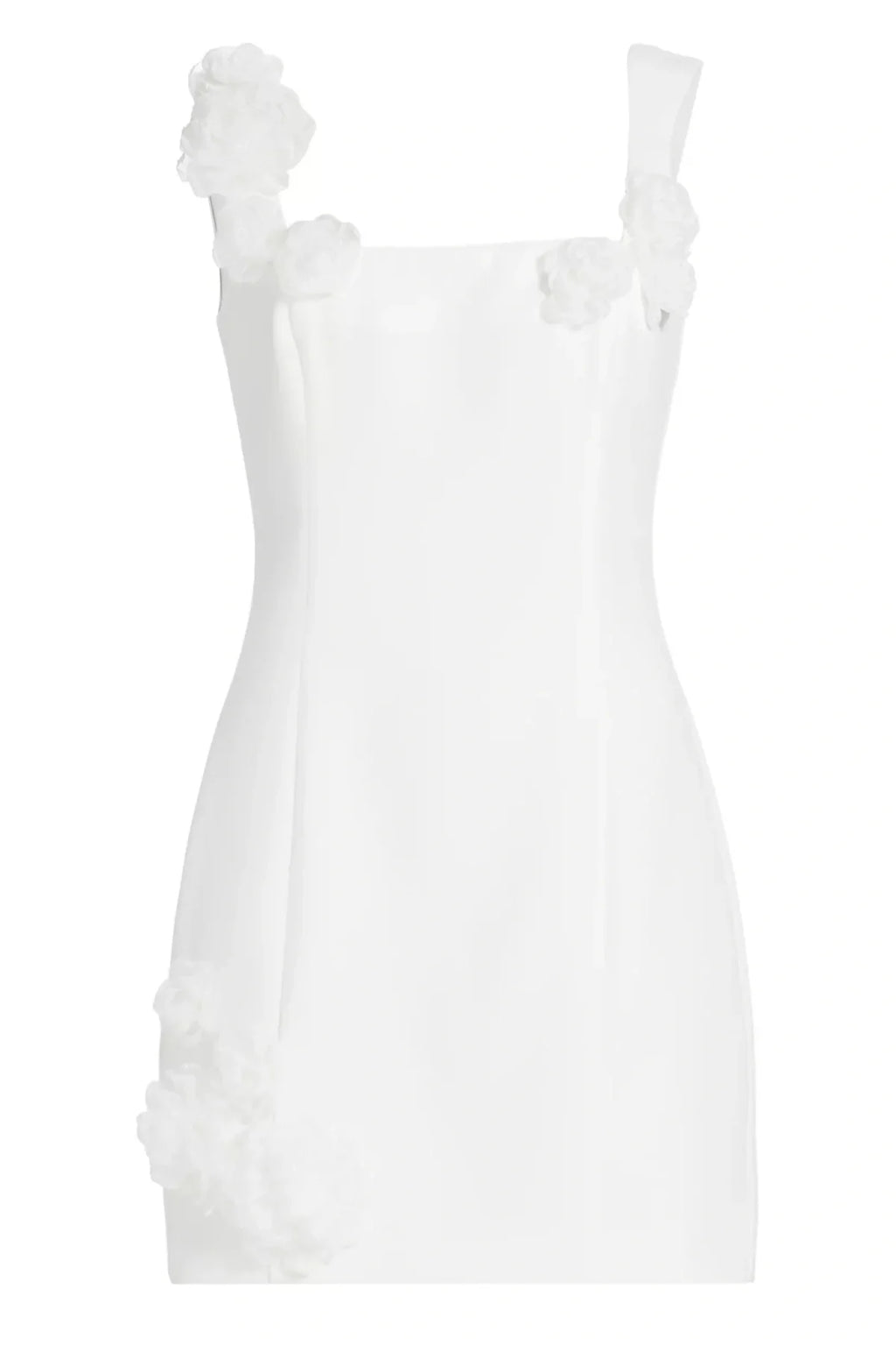 Dilanne Floral  Appliqué Mini Dress - White