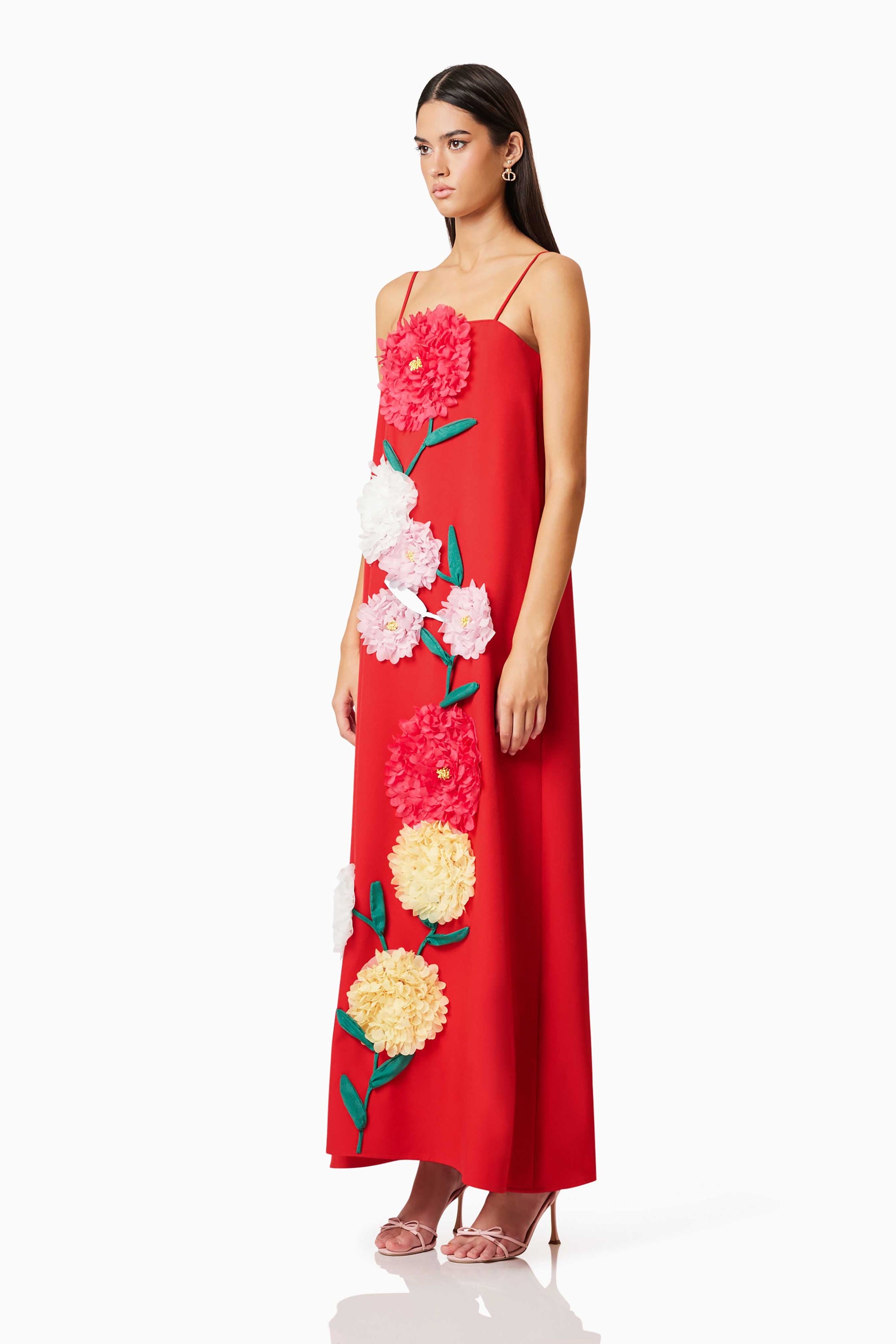judy Buttercup Embroidered Maxi Dress In Red