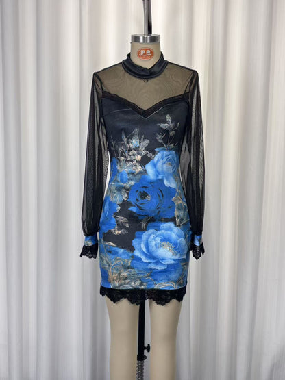 Lace trim and printed mesh bodycon mini dress
