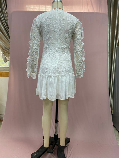 Embroidered lace ruffled mini dress - white
