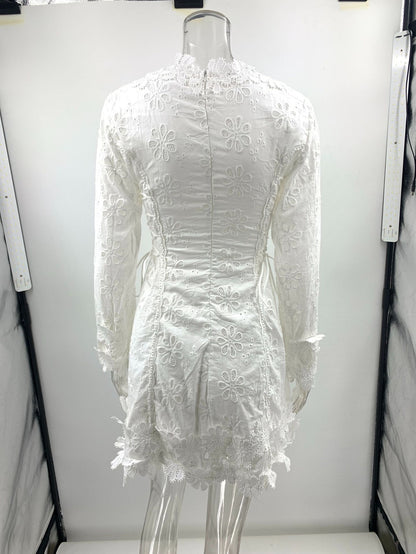 Long-sleeved tie-up lace V-neck mini dress