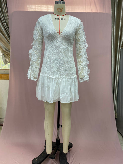 Embroidered lace ruffled mini dress - white