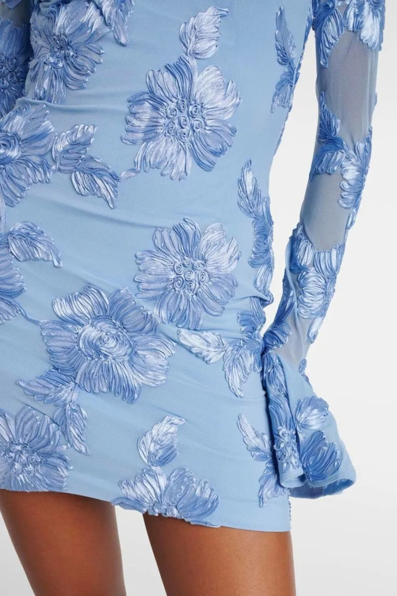 Floral-Embroidered Mesh Mini Dress In Blue