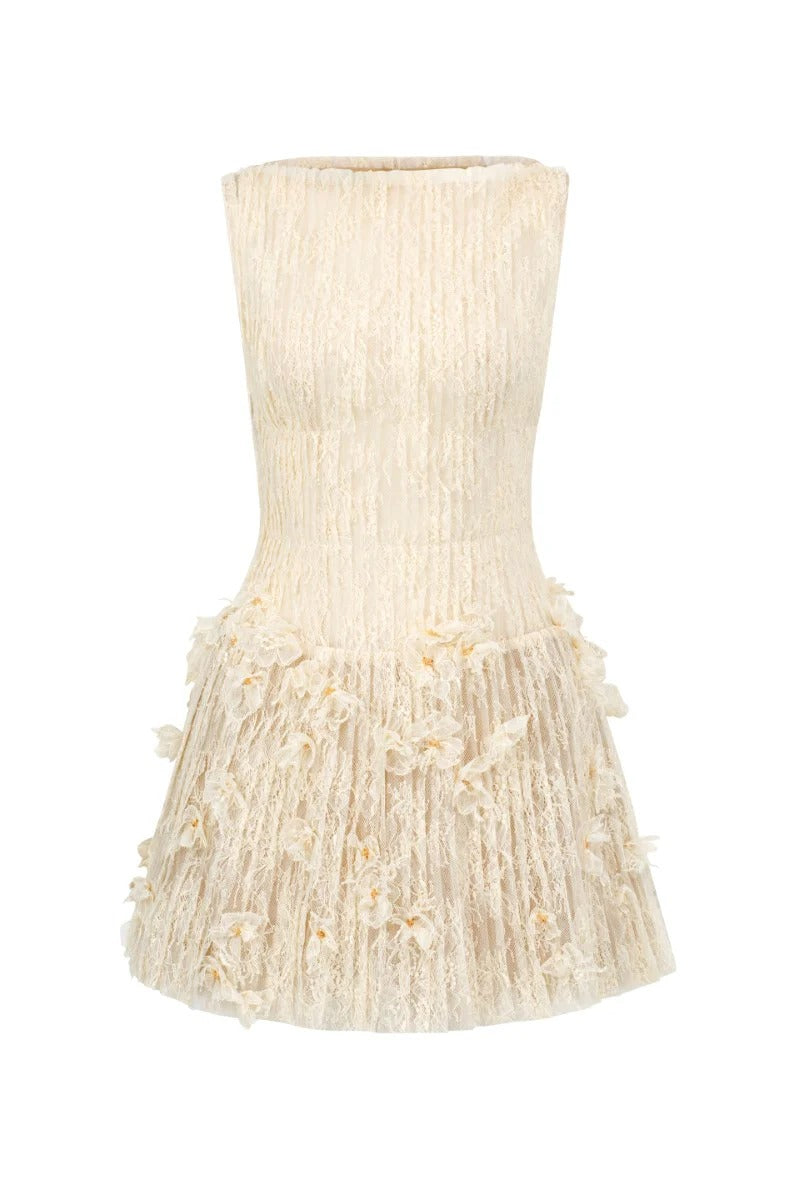 Flavia Floral Lace Mini Dress